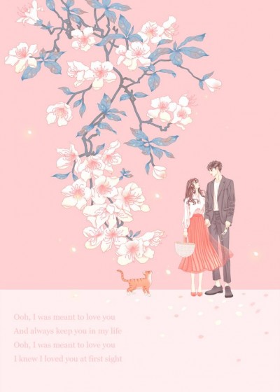 ���������ں�